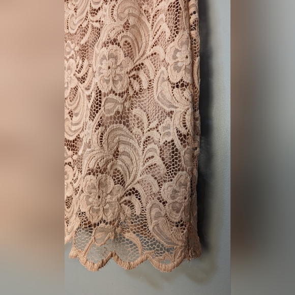 Lace Pale Pink Dress - Picture 4 of 5